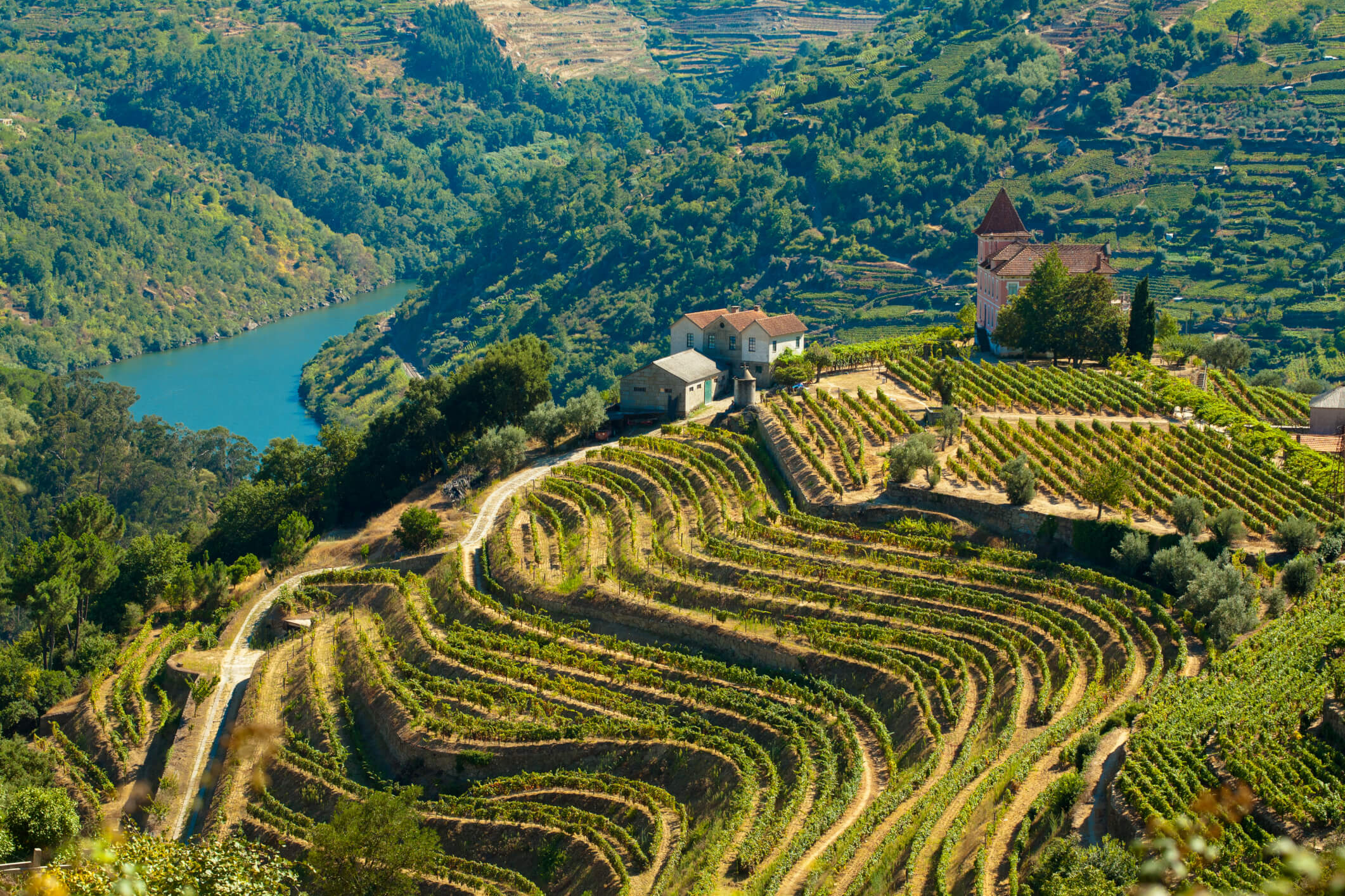 Douro Valley, Portugal