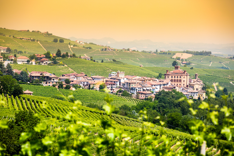 vineyards and settlements of the Barolo wine region, Italy, at sunset