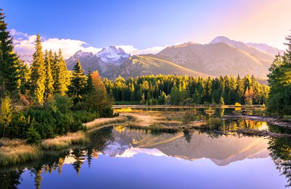 A view of the forest in the foreground of the Tatra Mountains in Europe.