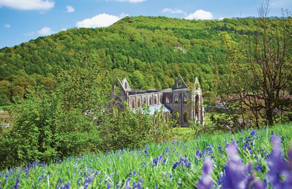 The old Tintern Abbey in Wales amidst a valley of green.