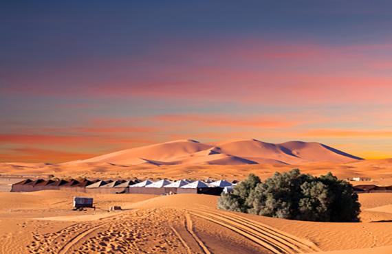 sahara-desert-camping