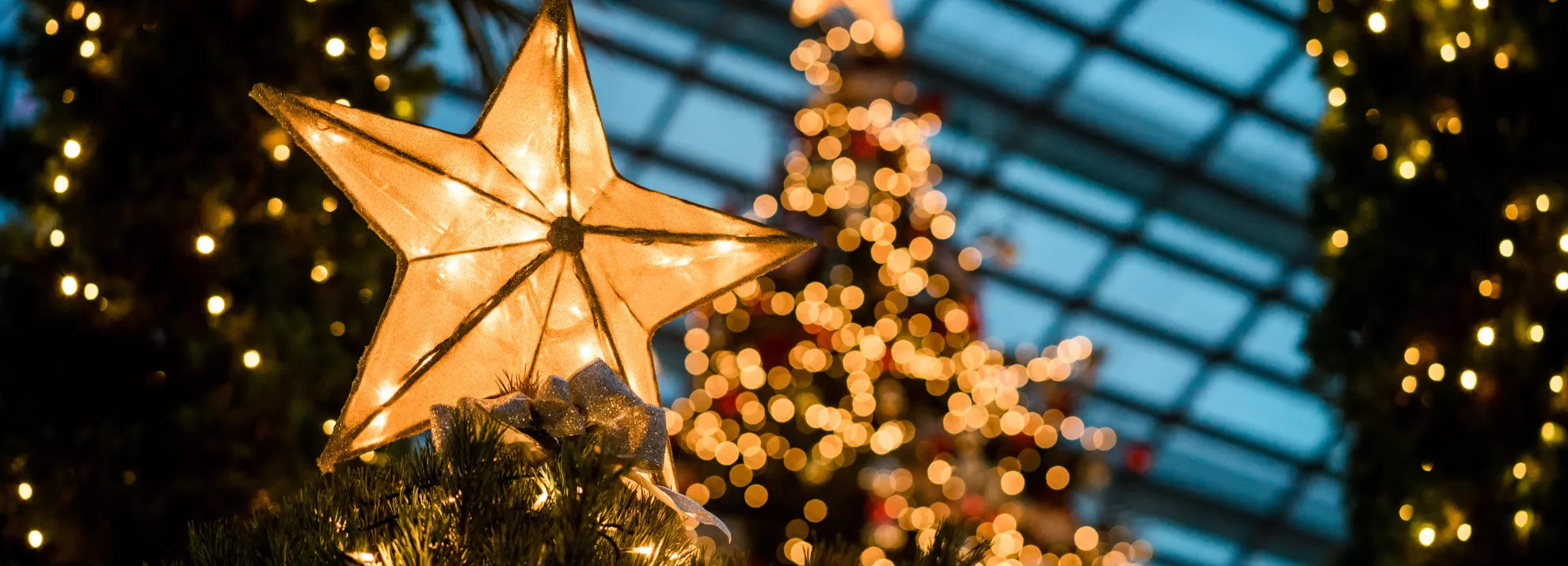 An amazing picture of a Christmas tree