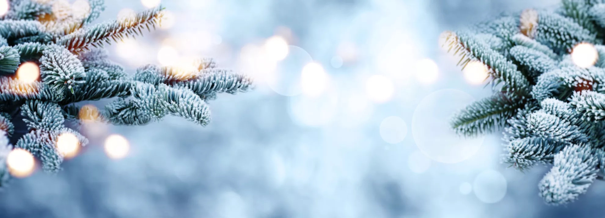 Christmas Tours of Europe 