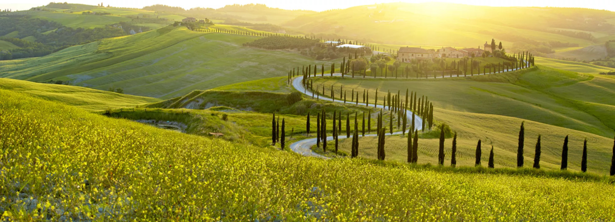 Tours of Tuscany 