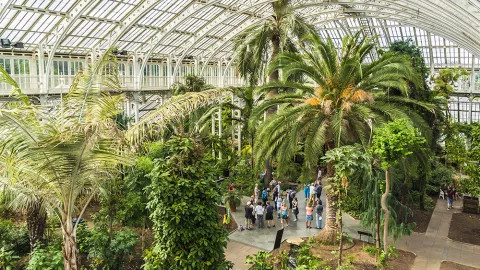 A view of the botanical gardens at the Chelsea Flower Show.