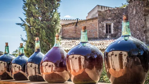 Traditional Portuguese wine bottles like the table at a wine tasting.