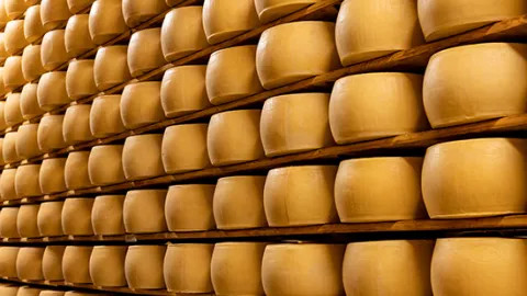 A view of Parmigiano inside the cheese factory in Bologna.