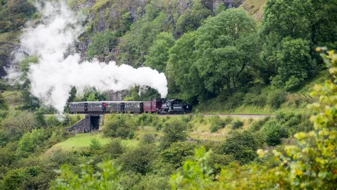 A steam engine train, embarked on the Rheidol Valley Tour.