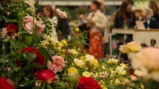 Travellers admiring the exhibits at the Chelsea Flower Show.