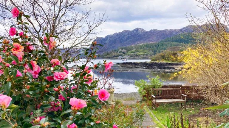 Plockton View