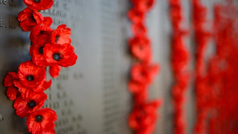 ANZAC Day Poppies