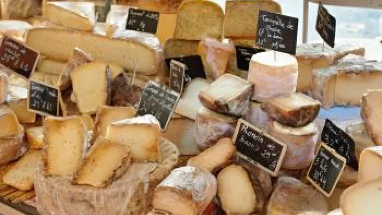 Various different cheese at the Provence market