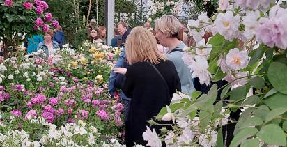 Travellers admiring the exhibits at the Chelsea Flower Show.