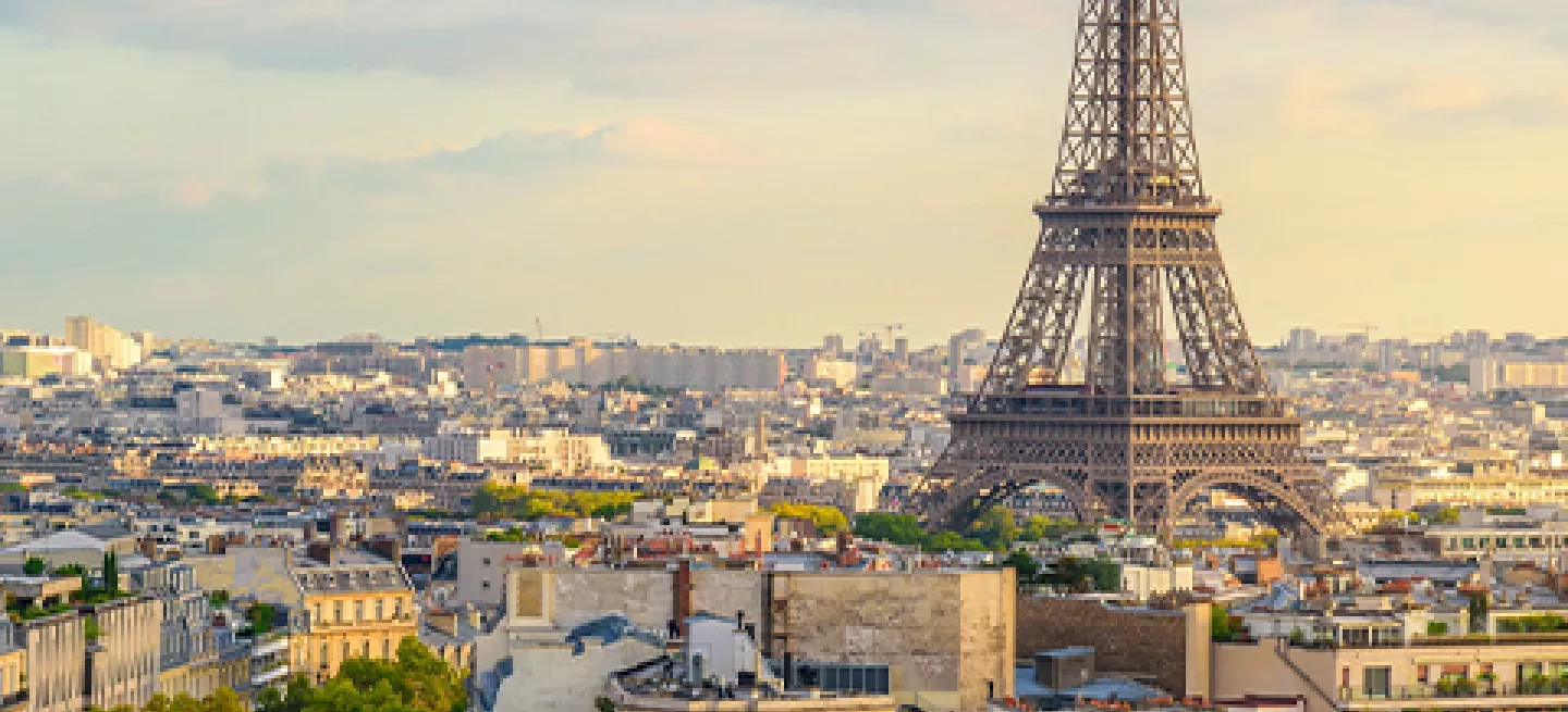 View overlooking Paris, and the Eiffel Tower