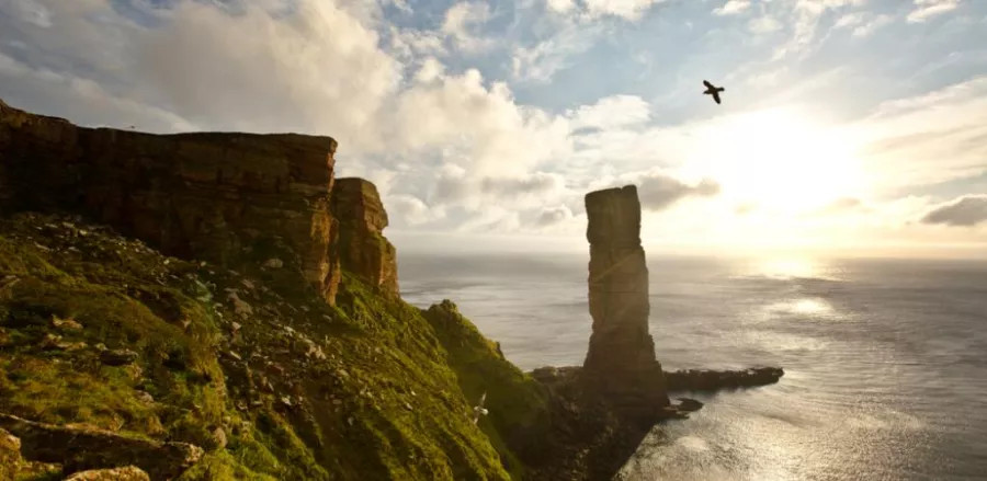 Old man of hoy